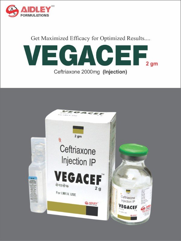 VEGACEF-2GM